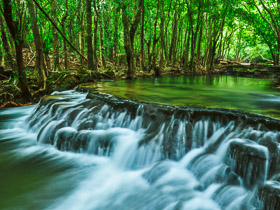 attraction_image attraction_image